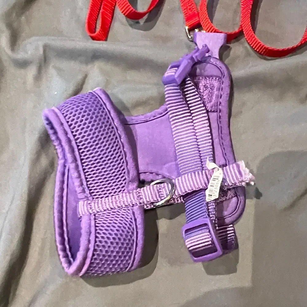 Lot of Pet Harness and Leash Set